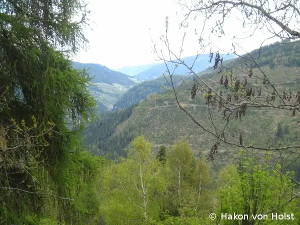 Im Bild unten der Südostabhang am Krameterhof, auf der anderen Talseite die Folgen von Sturmschäden nach einer Forstwirtschaft mit der Fichte in Monokultur.